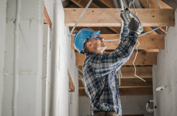 Best Electrician for Home Renovation  in Denver, IA