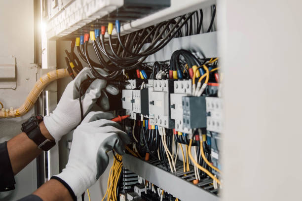 Best Electric Panel Repair  in Denver, IA